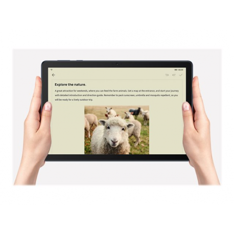 HUAWEI MATEPAD T10S 10.1" IPS 2/32GB 4G APPGALLERY
