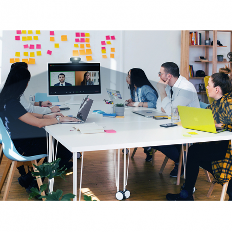 LogiLink Conference HD - Web camera - colour - 2 MP - 1920 x 1080 - fixed focal - audio - USB 2.0 - MJPEG, YUV2 - 1