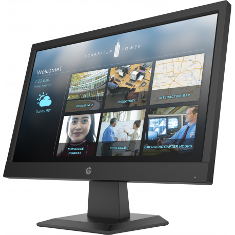 HP P19b G4 - P-Series - LED monitor - 18.5" - 1366 x 768 WXGA @ 60 Hz - TN - 200 cd / m² - 600:1 - 5 ms - HDMI, VGA - jack black - 3