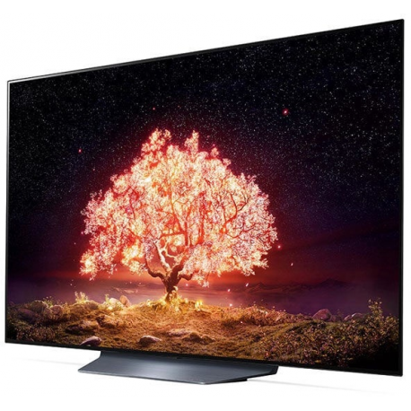 TV SET OLED 55" 4K/OLED55B13LA LG