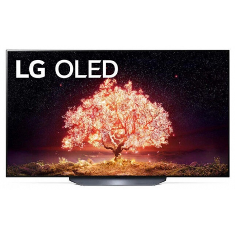 TV SET OLED 65" 4K/OLED65B13LA LG