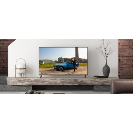 TV Set|PANASONIC|49"|4K/Smart|Wireless LAN|Bluetooth|TX-49HX940E