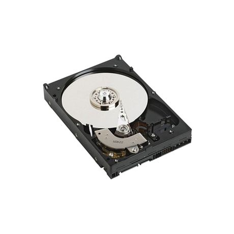 Dell - Hard drive - 1 TB - internal - 3.5" - SATA 6Gb / s - 7200 rpm - NPOS - to be sold with server only - for PowerEdge R240 (3.5"), T140 (3.5") - 0