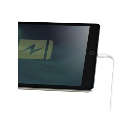 30CM USB TO LIGHTNING CABLE 30CM USB TO LIGHTNING CABLE