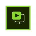 Adobe Presenter Video Express for Teams - Subscription Renewal - 1 user - GOV - Value Incentive Plan - Level 3 (50-99) - Win, Mac - EU English