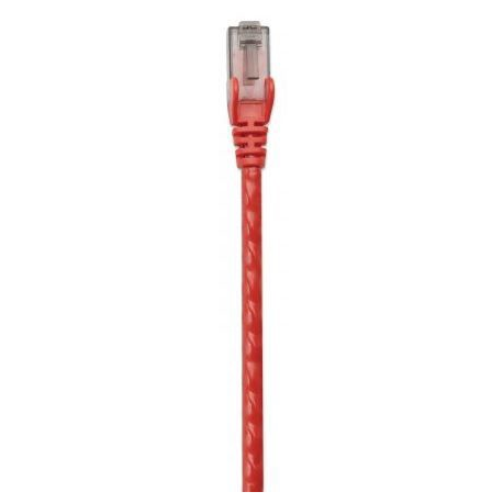 Intellinet Network Patch Cable, Cat6, 1m, Red, CCA, U / UTP, PVC, RJ45, Gold Plated Contacts, Snagless, Booted, Lifetime Warranty, Polybag - Patch cable - RJ-45 (M) to RJ-45 (M) - 1 m - UTP - CAT 6 - molded, snagless - red - 1