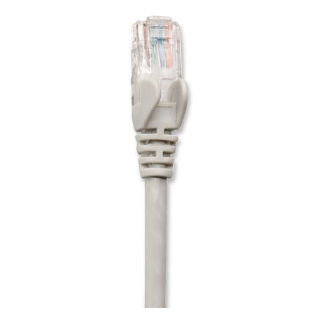 Intellinet Network Patch Cable, Cat5e, 1m, Grey, CCA, U / UTP, PVC, RJ45, Gold Plated Contacts, Snagless, Booted, Lifetime Warranty, Polybag - Patch cable - RJ-45 (M) to RJ-45 (M) - 1 m - UTP - CAT 5e - molded, snagless - grey - 1