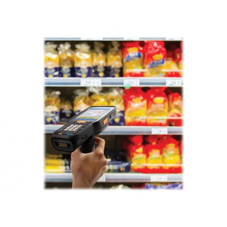 Datalogic Skorpio X5 - Data collection terminal - rugged - Android 10 - 64 GB - 4.3" colour TFT (800 x 480) - rear camera - barcode reader - (2D imager) - USB host - microSD slot - Wi-Fi 5, NFC, Bluetooth - 4