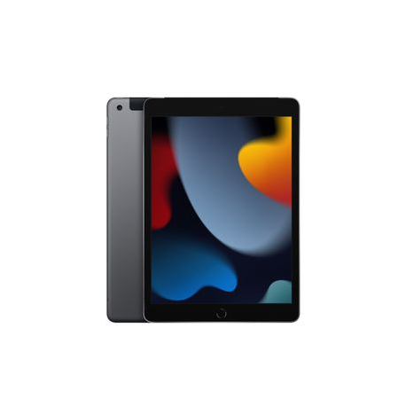 10.2-INCH IPAD WI-FI + CELLULAR