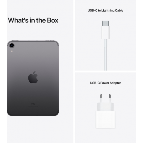 iPad Mini Wi-Fi + Cellular 64GB Space Gray 6th Gen