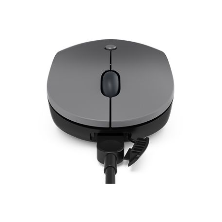 Lenovo Go - Mouse - ergonomic - right and left-handed - blue optical - 5 buttons - wireless - 2.4 GHz - USB-C wireless receiver - storm grey - for ThinkBook 14 G4+ IAP; ThinkPad E14 Gen 4; E15 Gen 4; X1 Carbon Gen 10; ThinkStation P360 - 3
