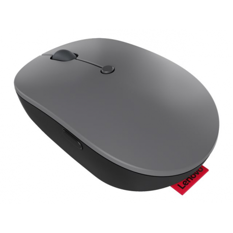 Lenovo Go - Mouse - ergonomic - right and left-handed - blue optical - 5 buttons - wireless - 2.4 GHz - USB-C wireless receiver - storm grey - for ThinkBook 14 G4+ IAP; ThinkPad E14 Gen 4; E15 Gen 4; X1 Carbon Gen 10; ThinkStation P360 - 9