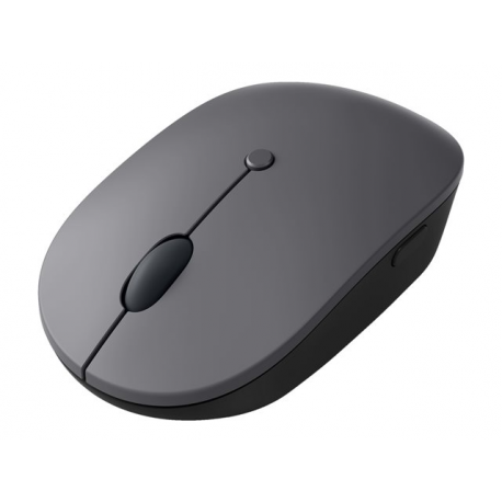 Lenovo Go - Mouse - ergonomic - right and left-handed - blue optical - 5 buttons - wireless - 2.4 GHz - USB-C wireless receiver - storm grey - for ThinkBook 14 G4+ IAP; ThinkPad E14 Gen 4; E15 Gen 4; X1 Carbon Gen 10; ThinkStation P360 - 12
