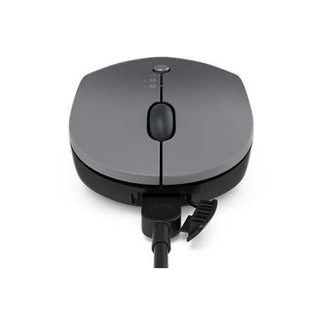 Lenovo Go Multi-device - Mouse - blue optical - 3 buttons - wireless - 2.4 GHz, Bluetooth 5.0 - USB-C wireless receiver - thunder black - for ThinkCentre M70q Gen 2; ThinkPad E14 Gen 4; E15 Gen 4; X1 Carbon Gen 10; ThinkStation P360 - 3