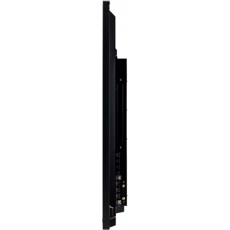 iiyama ProLite TE5503MIS-B2AG, 139cm (55'), infrared, 4K, black, Android
