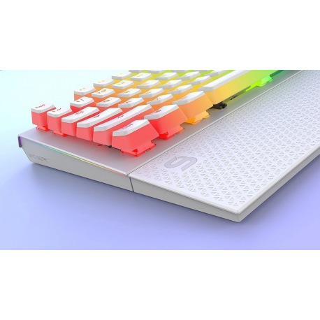SILENTIUMPC Gear GK650K Omnis Kailh Brown RGB Onyx White Pudding Edition