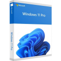 Windows 11 Pro - Box pack - 1 licence - flash drive - 64-bit - English International