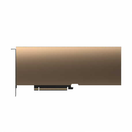 NVIDIA A40 - GPU computing processor - NVIDIA A40 - 48 GB GDDR6 - PCIe 4.0 - for ProLiant DL380 Gen10; Synergy 480 Gen10 - 1