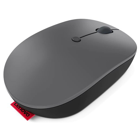 Lenovo Go - Mouse - ergonomic - right and left-handed - blue optical - 5 buttons - wireless - 2.4 GHz - USB-C wireless receiver - storm grey - retail - CRU - for ThinkCentre M70s Gen 3; ThinkPad E14 Gen 4; E15 Gen 4; X1 Carbon Gen 10; ThinkStation P360 - 9