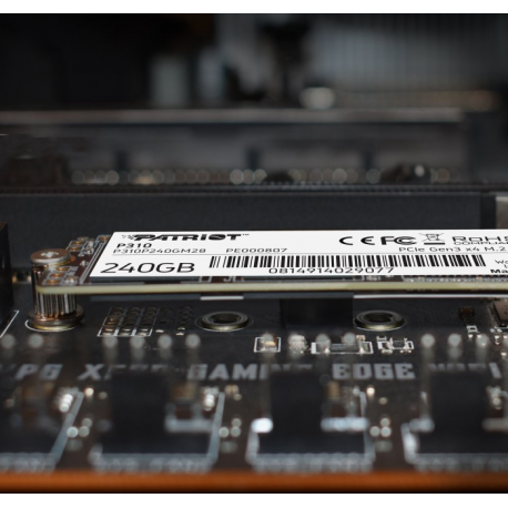 Patriot P310 - SSD - 240 GB - internal - M.2 2280 - PCIe 3.0 x4 (NVMe) - 7