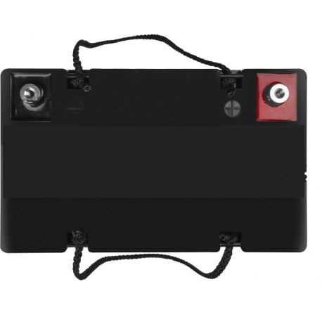 Green Cell AGM - Battery - Lead Acid - 50 Ah - black - 4