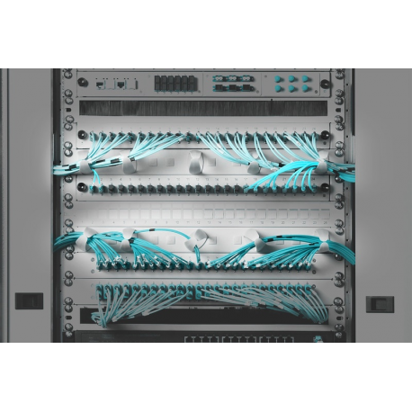 Digitus 19 Digitus Rangierpanel 1HE