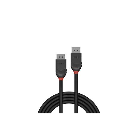 Lindy Black Line - DisplayPort cable - DisplayPort (M) to DisplayPort (M) - DisplayPort 1.2 - 2 m - black - 1