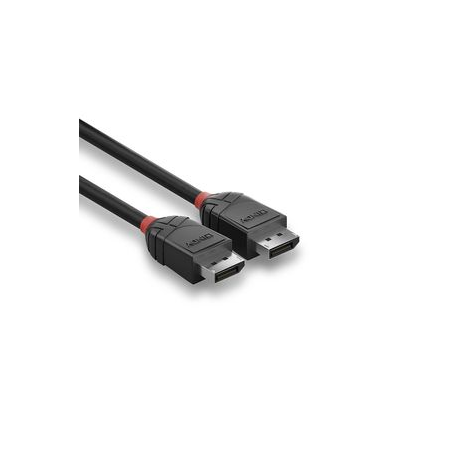 Lindy Black Line - DisplayPort cable - DisplayPort (M) to DisplayPort (M) - DisplayPort 1.2 - 2 m - black - 2