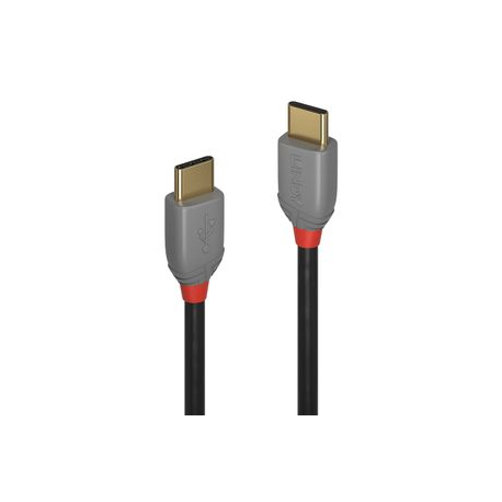 Lindy Anthra Line - USB cable - USB-C (M) to USB-C (M) - USB 2.0 - 2 m - round - black - 0