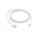Apple - Lightning cable - USB male to Lightning male - 1 m - white - for iPad / iPhone / iPod (Lightning)