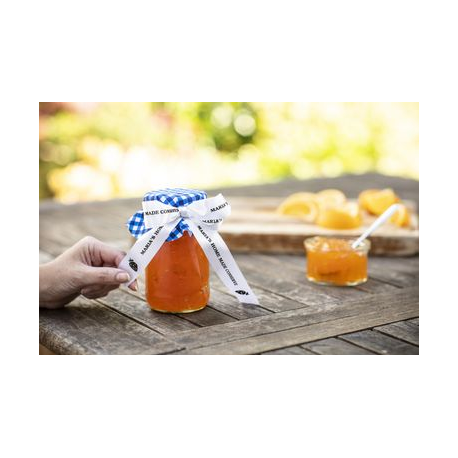 Brother TZe-R251 - Satin - black on white - Roll (2.4 cm x 4 m) 1 cassette(s) ribbon tape - for Brother PT-D600; P-Touch PT-E800; P-Touch Cube Plus PT-P710; P-Touch Cube Pro PT-P910 - 4