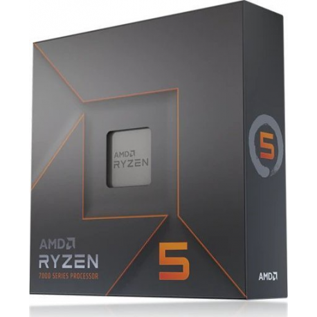 CPU RYZEN X6 R5-7600X SAM5/105W 100-100000593WOF AMD