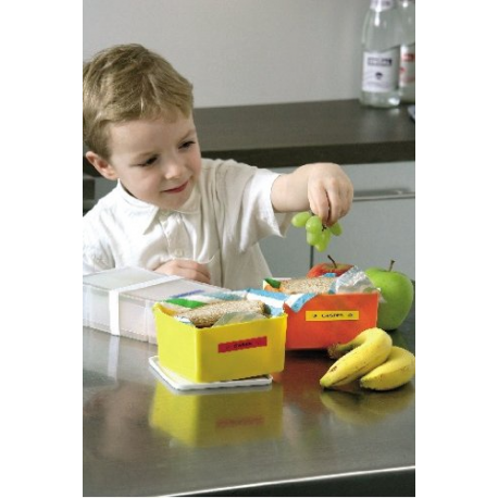 DYMO LetraTag LT-100H - Labelmaker - B/W - direct thermal - Roll (1.2 cm) - 160 dpi - up to 7 mm/sec - cutter - 1 line printing, 2 line printing, realtime clock - 4