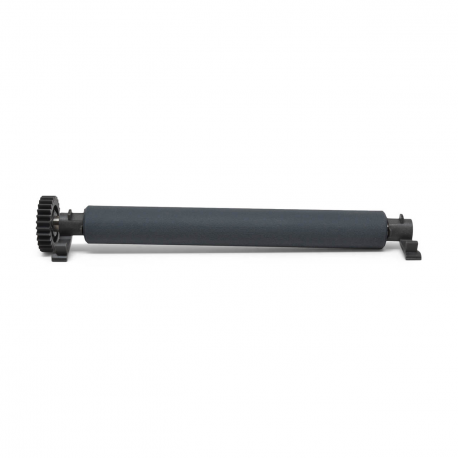 Zebra - Platen roller 203 dpi - 1