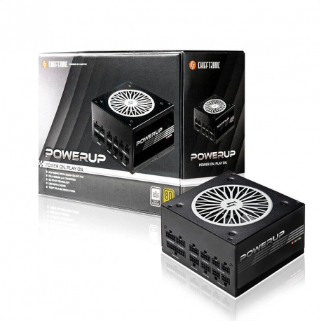 Chieftronic PowerUp Series 850W - Power supply (internal) - ATX12V 2.53 - 80 PLUS Gold - AC 100-240 V - 850 Watt - active PFC - 0