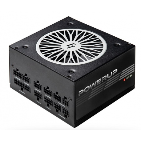 Chieftronic PowerUp Series 850W - Power supply (internal) - ATX12V 2.53 - 80 PLUS Gold - AC 100-240 V - 850 Watt - active PFC - 1