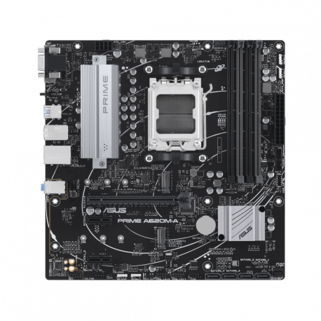 ASUS PRIME A620M-A-CSM - Motherboard - micro ATX - Socket AM5 - AMD A620 Chipset - USB 3.2 Gen 1, USB-C 3.2 Gen 1 - Gigabit LAN - onboard graphics (CPU required) - HD Audio (8-channel) - 0