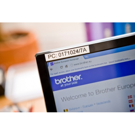 Brother TZe-231S - Black on white - Roll (1.2 cm x 4 m) 1 cassette(s) laminated tape - for Brother PT-D210, D600, H110; P-Touch PT-1880, E800, H110, P900; P-Touch Cube Plus PT-P710 - 3