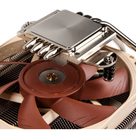 Noctua NH-L12S - Processor cooler - (for: LGA1156, AM2, AM2+, LGA1366, AM3, LGA1155, AM3+, LGA2011, FM1, FM2, LGA1150, FM2+, LGA2011-3, LGA1151, AM4, LGA2066, LGA1200) - aluminum with nickel plated copper base - 120 mm - 5