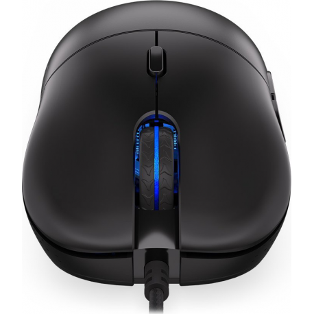 Endorfy GEM - Mouse - optical - 6 buttons - wired - USB-C - black - retail - 9