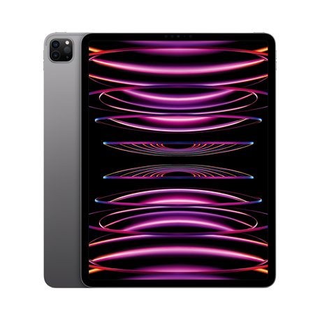 Apple 12.9-inch iPad Pro Wi-Fi - 6th generation - tablet - 256 GB - 12.9" IPS (2732 x 2048) - space grey - 2