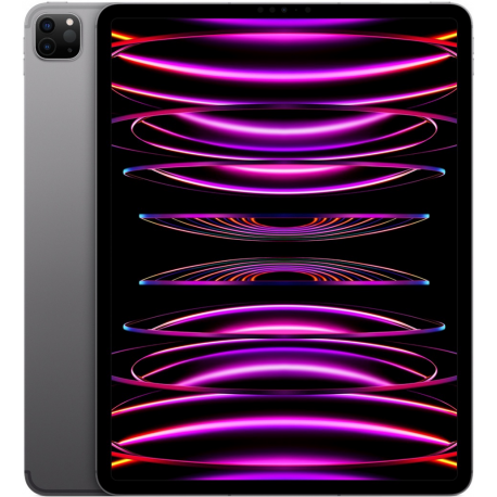 iPad Pro 12.9" Wi-Fi + Cellular 256GB - Space Gray 6th Gen