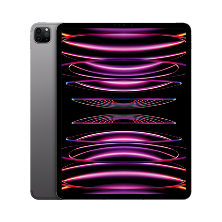iPad Pro 12.9" Wi-Fi + Cellular 256GB - Space Gray 6th Gen