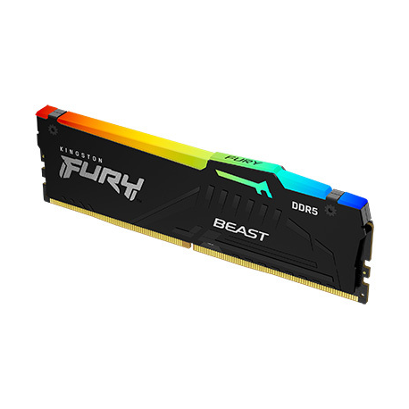 Kingston FURY Beast RGB - DDR5 - module - 8 GB - DIMM 288-pin - 6000 MHz / PC5-48000 - CL36 - 1.35 V - unbuffered - on-die ECC - black - 6