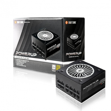 Chieftronic PowerUp Series 850W - Power supply (internal) - ATX12V 2.53 - 80 PLUS Gold - AC 100-240 V - 850 Watt - active PFC - 14