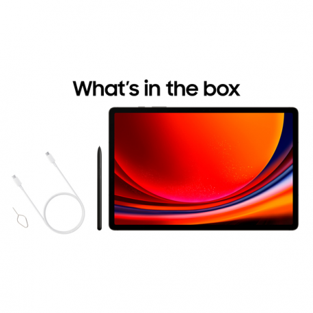 Galaxy Tab S9 Ultra Sm-X910N