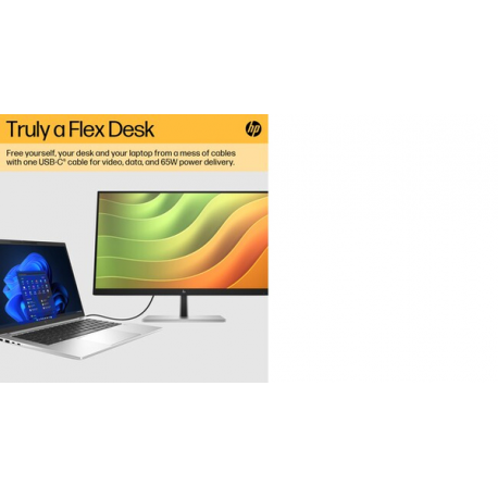 HP E24u G5 - E-Series - LED monitor - 23.8" (23.8" viewable) - 1920 x 1080 Full HD (1080p) @ 75 Hz - IPS - 250 cd / m² - 1000:1 - 5 ms - HDMI, DisplayPort, USB-C - black head, black and silver (stand) - 4
