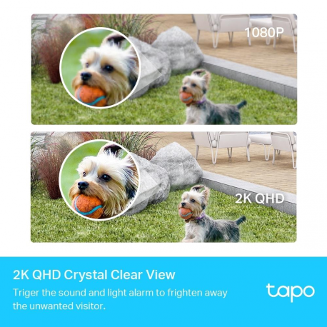Tapo C420 V1 - Network surveillance camera - indoor, outdoor - dust resistant  /  water resistant - colour (Day&Night) - 2560 x 1440 - 2K - fixed focal - audio - wireless - Wi-Fi - 2.4GHz radio - H.264 - 1