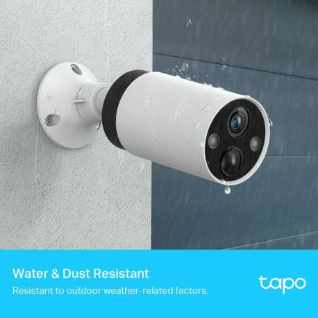 Tapo C420 V1 - Network surveillance camera - indoor, outdoor - dust resistant  /  water resistant - colour (Day&Night) - 2560 x 1440 - 2K - fixed focal - audio - wireless - Wi-Fi - 2.4GHz radio - H.264 - 2