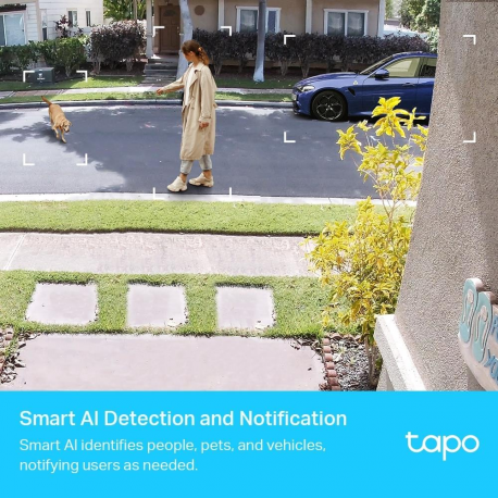 Tapo C420 V1 - Network surveillance camera - indoor, outdoor - dust resistant  /  water resistant - colour (Day&Night) - 2560 x 1440 - 2K - fixed focal - audio - wireless - Wi-Fi - 2.4GHz radio - H.264 - 5